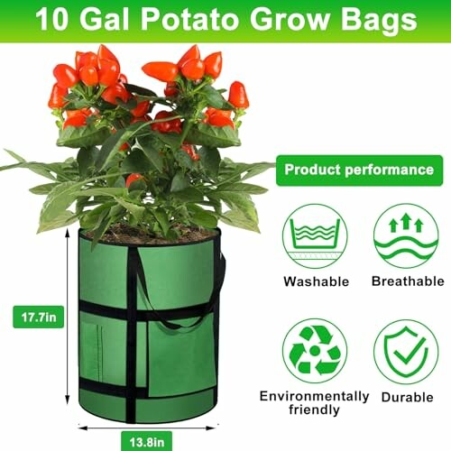 Grow Bags 6Pack